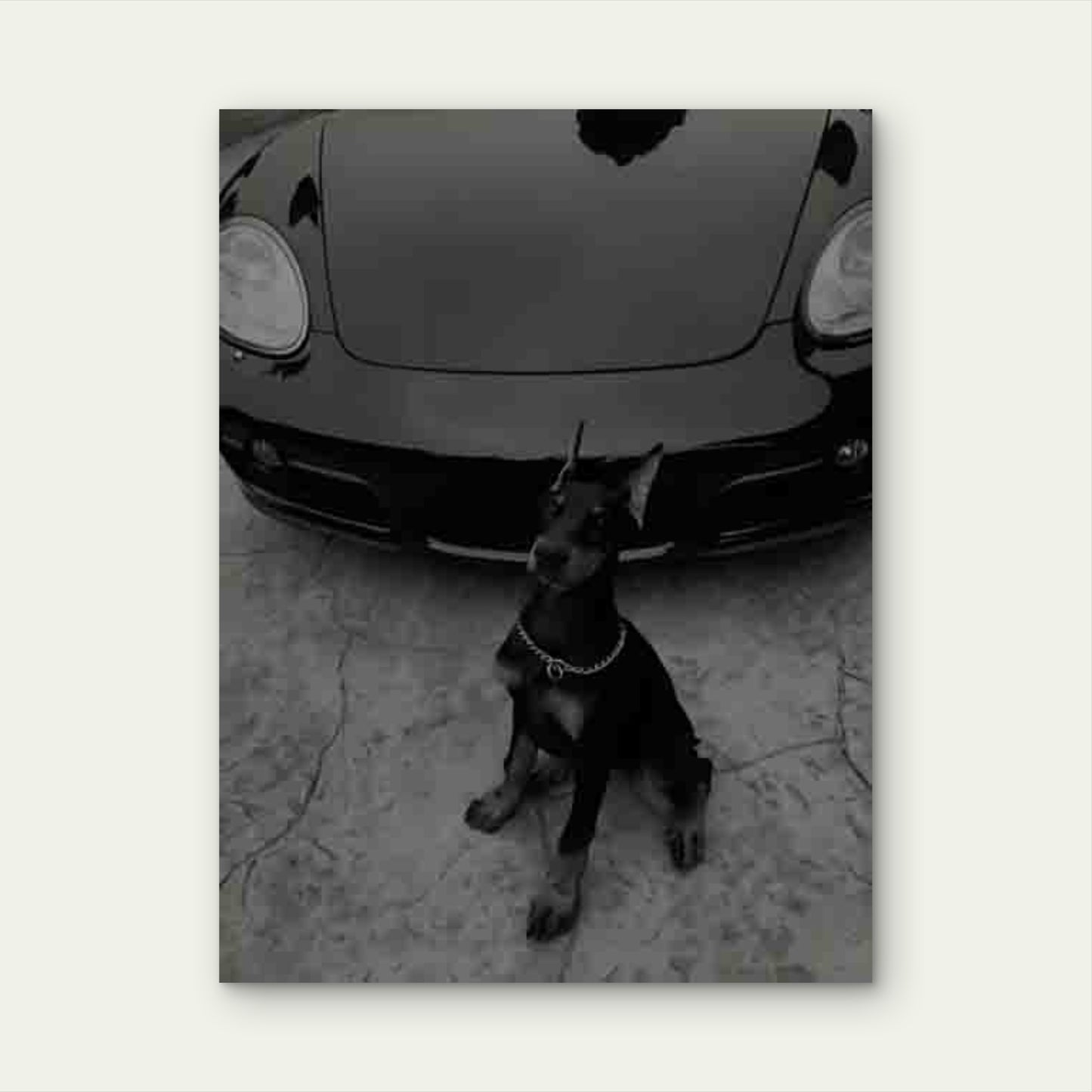 Doberman & Luxury Car Metal Print Ready to Hang