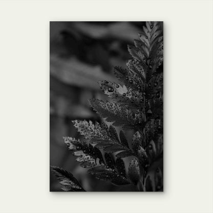 Black Background with Leaves and Vegetation Metal Print Ready to Hang