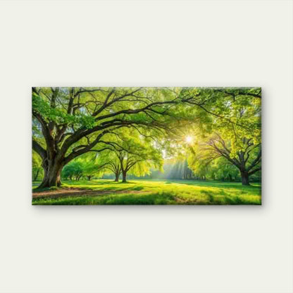 Sunshine Filtering Through TreesWall Art Canvas Office Home Room Framed 120x60cm