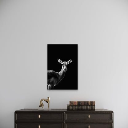 High Contrast Deer Photography 60x90cm Metal Print Ready to Hang
