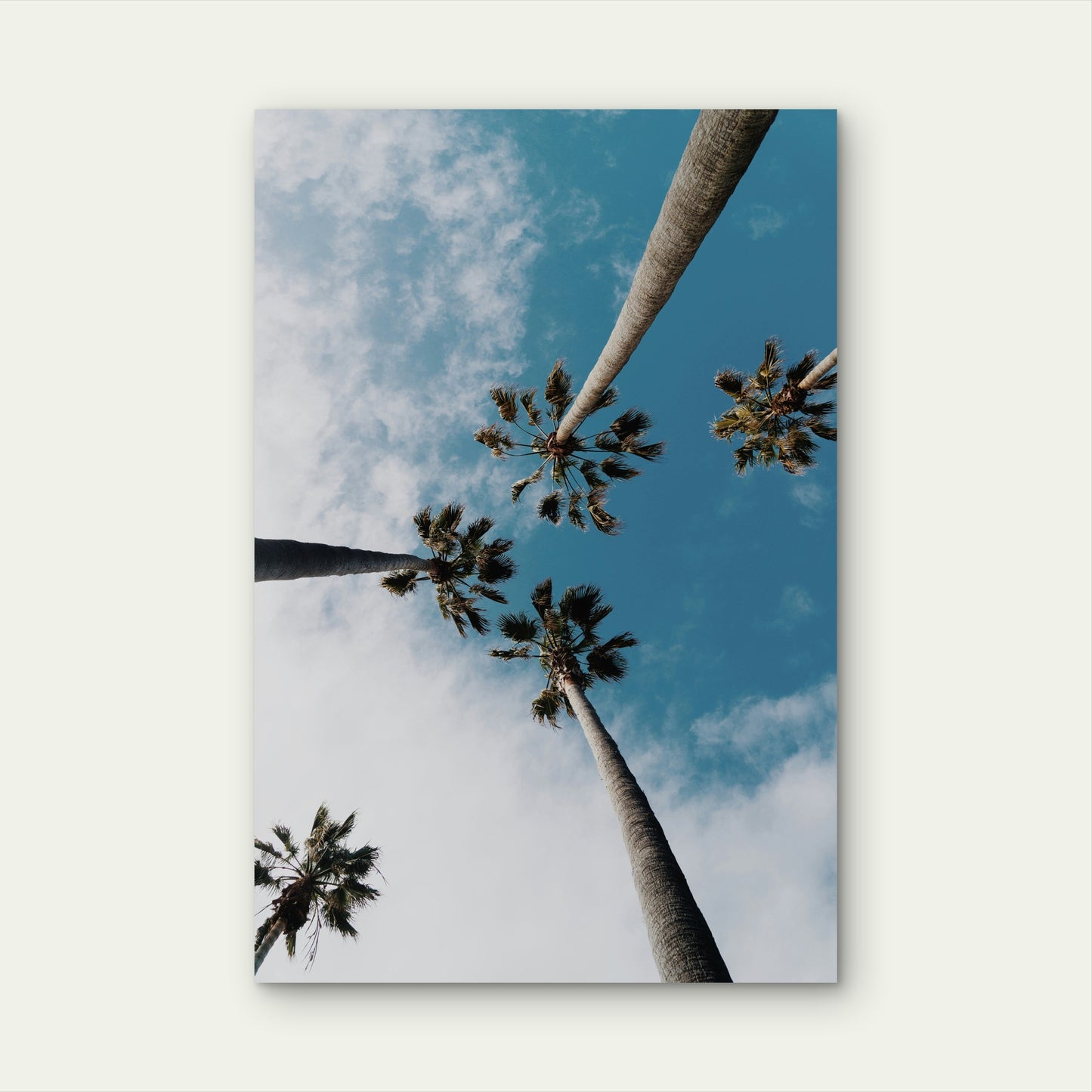 Palm Trees Against A Blue Sky With White Clouds 40x60cm Metal Print Ready to Hang