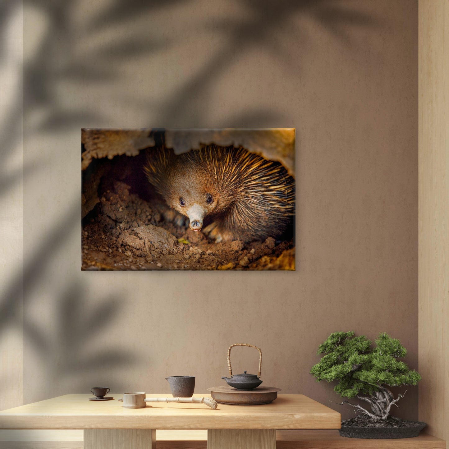 Short-Beaked Echidna Australia Wall Art Decor 100% Australian Made