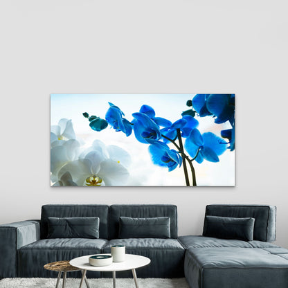 Blue And White Orchid Flowers Wall Art Canvas Office Home Room Framed 120x60cm