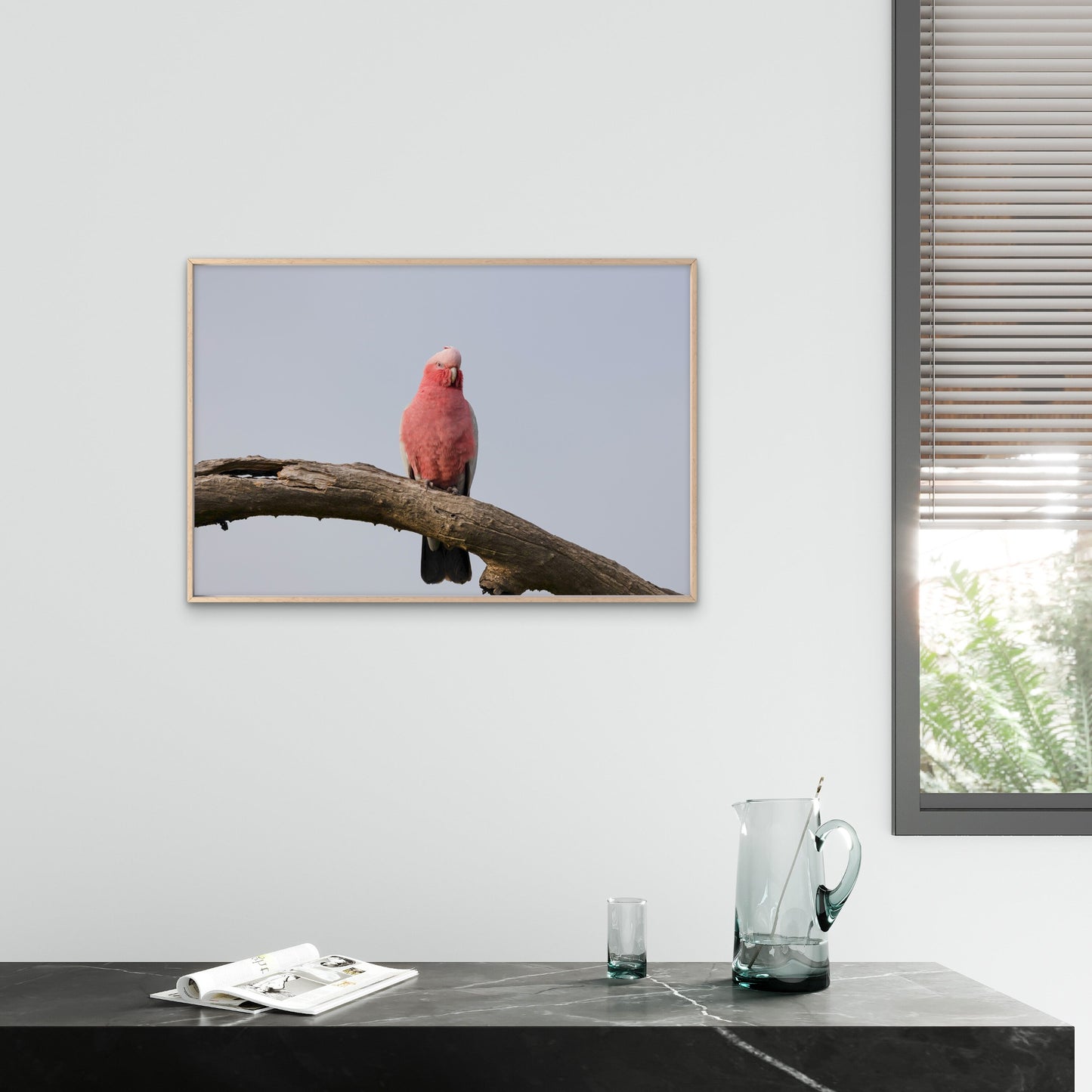 Grey and Pink Galah Perth Western Australia Wall Art Decor 100% Australian Made