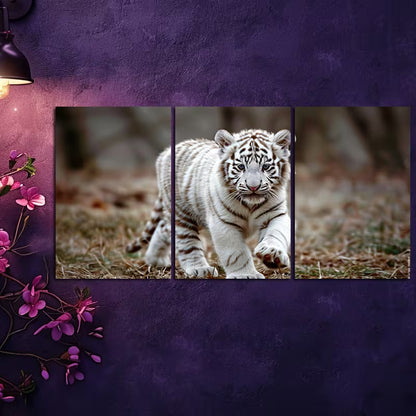 3pcs White Tiger Cub Illustration Wall Art Set Canvas Framed 50x70cm - High Quality Print 100% Australian Made Wall Canvas Ready to Hang
