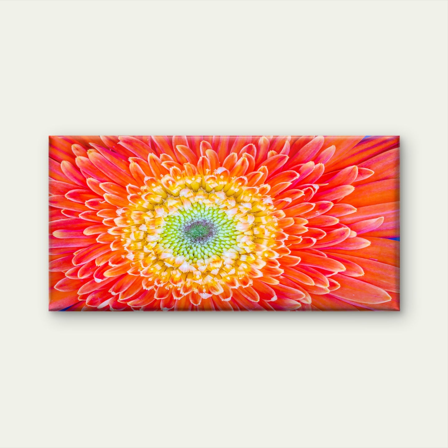 Vibrant Orange Gerbera Flower Wall Art Canvas Office Home Room Framed 120x60cm