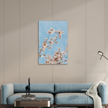 Cherry Blossoms Against A Blue Sky 40x60cm Metal Print Ready to Hang