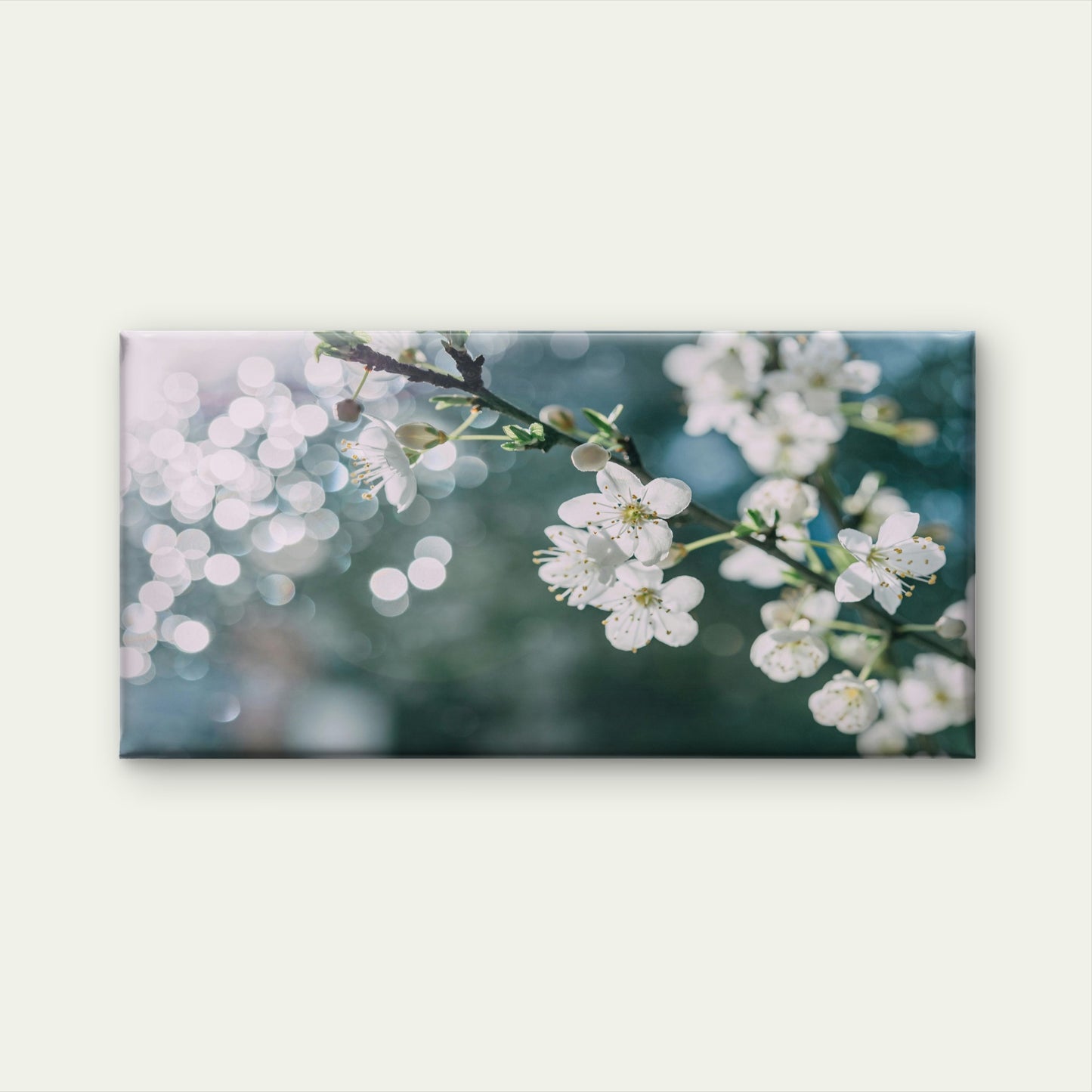 Cherry Blossom Melbourne Aus Wall Art Canvas Office Home Room Framed 120x60cm