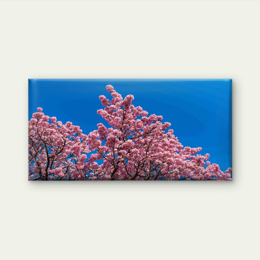 Cherry Blossom Against Blue Sky Wall Art Canvas Office Home Room Framed 120x60cm