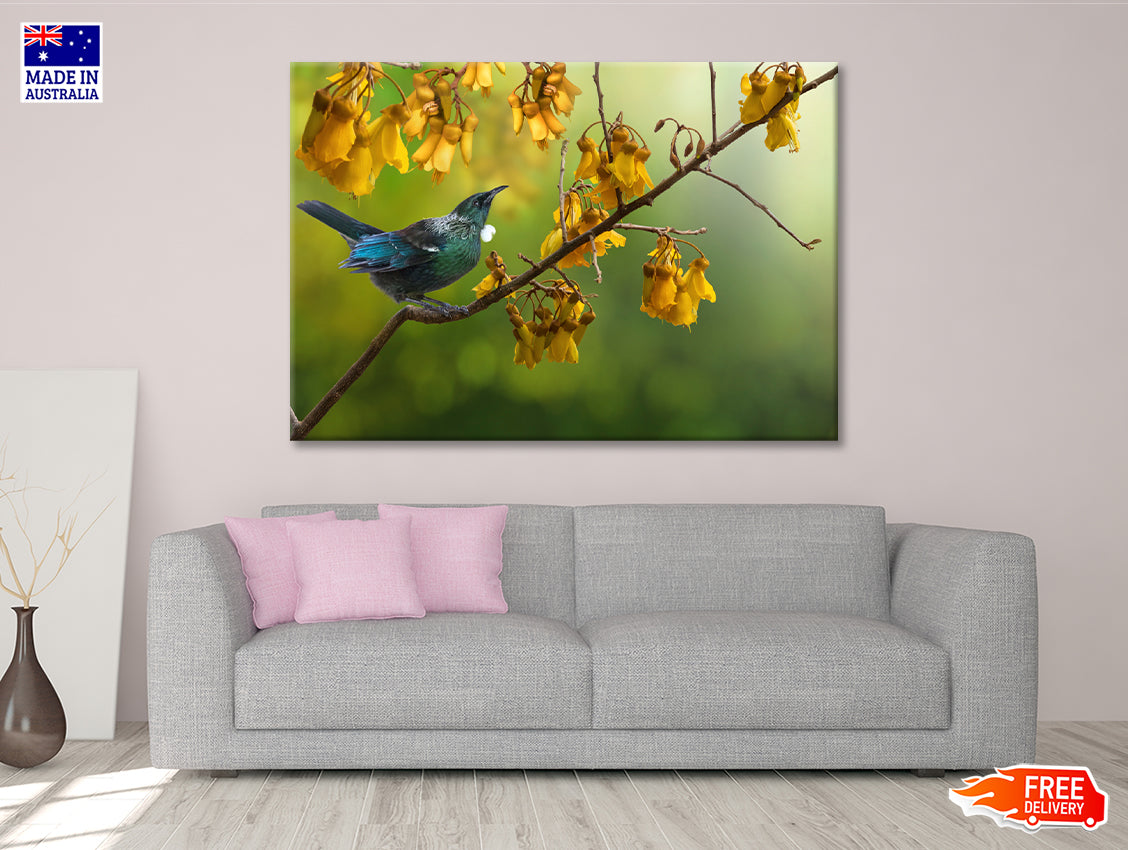 Tui Bird with Kowhai Tree Branch Print 100% Australian Made - Bella Home Decor