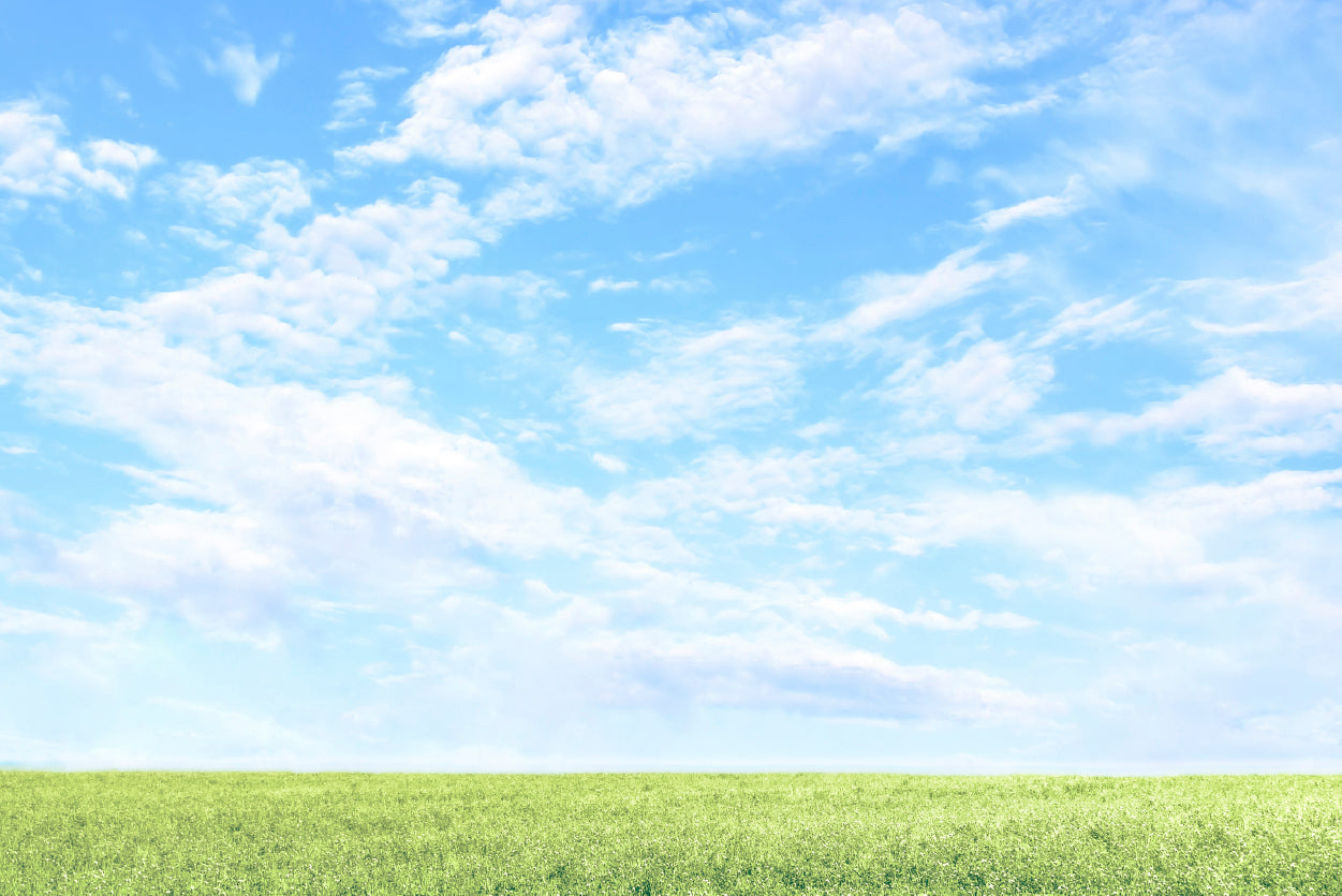 Beautiful Scenic View of Grassy Field and Blue Sky Home Decor Premium Quality Poster Print Choose Your Sizes - Bella Home Decor