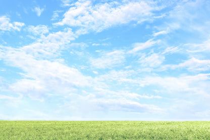 Beautiful Scenic View of Grassy Field and Blue Sky Home Decor Premium Quality Poster Print Choose Your Sizes - Bella Home Decor