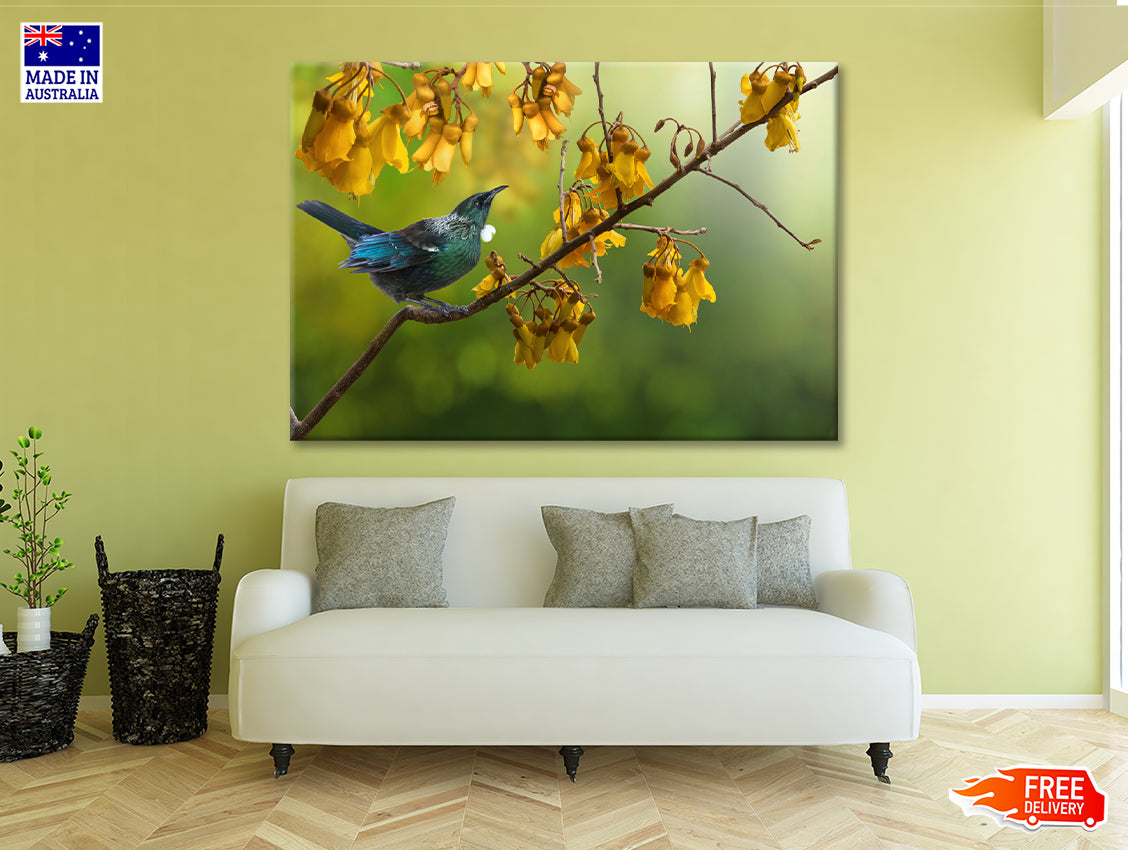 Tui Bird with Kowhai Tree Branch Print 100% Australian Made - Bella Home Decor