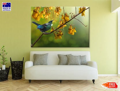 Tui Bird with Kowhai Tree Branch Print 100% Australian Made - Bella Home Decor