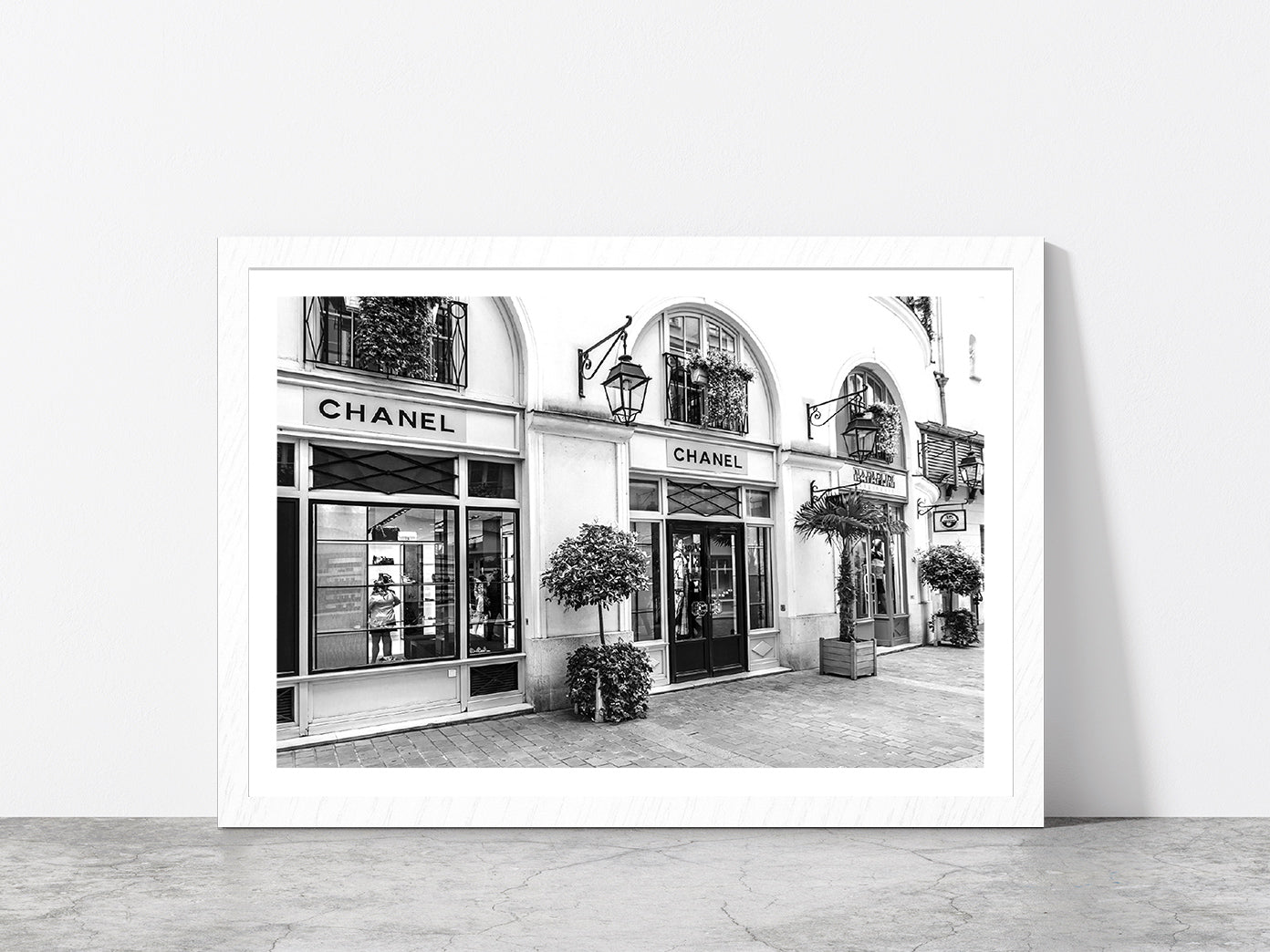 B&W Fashion Store Tree Plants in Madeleine Glass Framed Wall Art, Ready to Hang Quality Print With White Border White