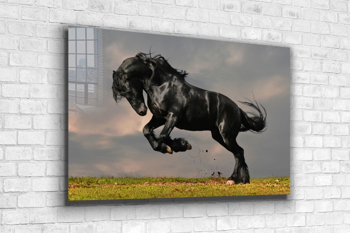 Black Horse Running UV Direct Aluminum Print Australian Made Quality