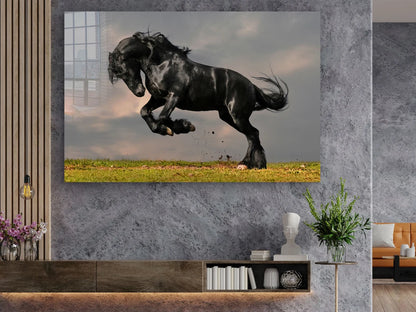 Black Horse Running UV Direct Aluminum Print Australian Made Quality