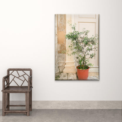Potted Tree and Classic Architectural Pillars in Italy Wall Art Decor 100% Australian Made - Bella Home Decor