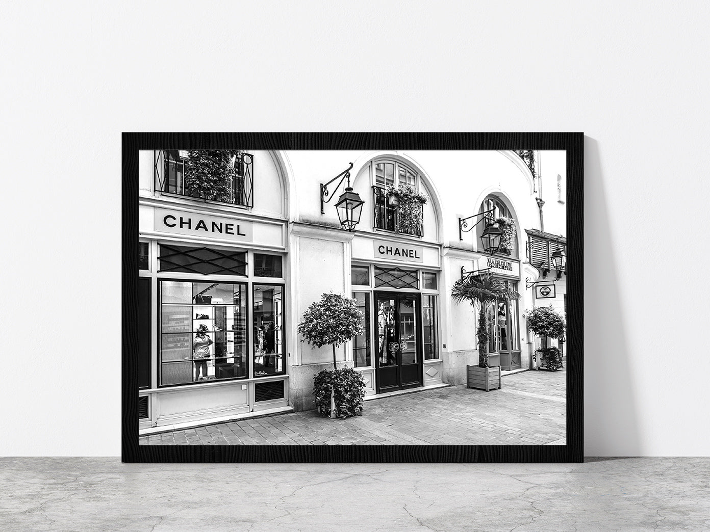 B&W Fashion Store Tree Plants in Madeleine Glass Framed Wall Art, Ready to Hang Quality Print Without White Border Black