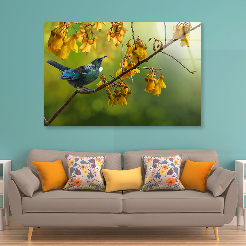 Tui Bird with Kowhai Tree Branch Acrylic Glass Print Tempered Glass Wall Art 100% Made in Australia Ready to Hang - Bella Home Decor