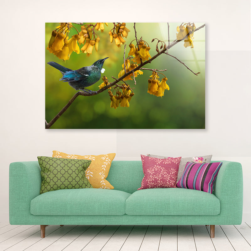 Tui Bird with Kowhai Tree Branch Acrylic Glass Print Tempered Glass Wall Art 100% Made in Australia Ready to Hang - Bella Home Decor