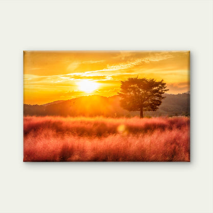 Pink Muhly Grass Sunset South Korea Wall Art Decor 100% Australian Made