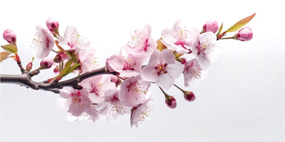 Pink Cherry Blossom Branch Japan Wall Art Canvas Office Home Framed 120x60cm