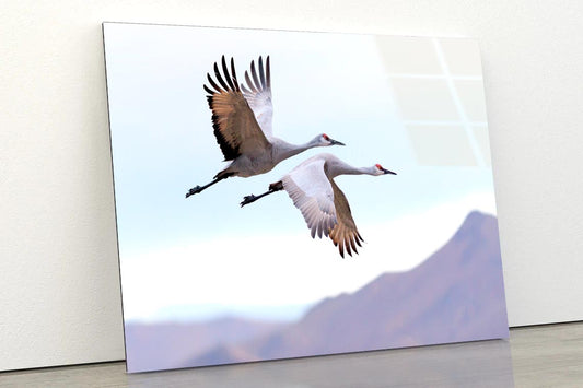 Flying Cranes Mountain Sky View Acrylic Glass Print Tempered Glass Wall Art 100% Made in Australia Ready to Hang