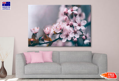 Macro Cherry Blossom Tree Branch  Wall Art Decor 100% Australian Made