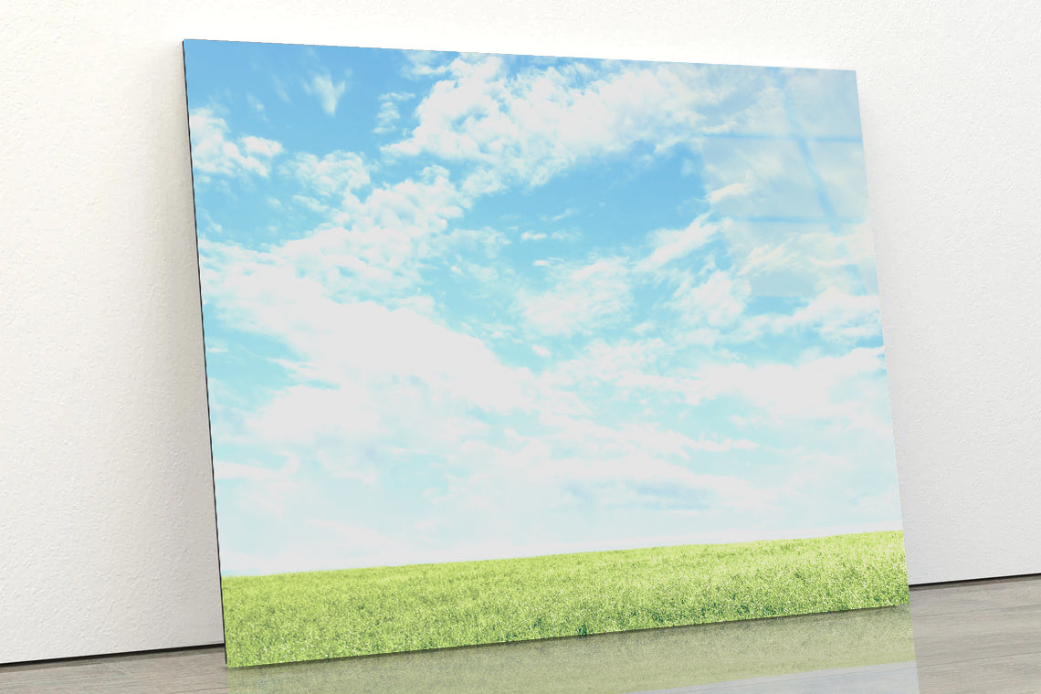 Beautiful Scenic View of Grassy Field and Blue Sky Acrylic Glass Print Tempered Glass Wall Art 100% Made in Australia Ready to Hang