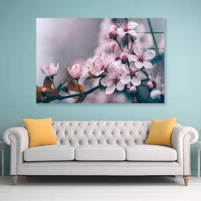 Macro Cherry Blossom Tree Branch  Acrylic Glass Print Tempered Glass Wall Art 100% Made in Australia Ready to Hang