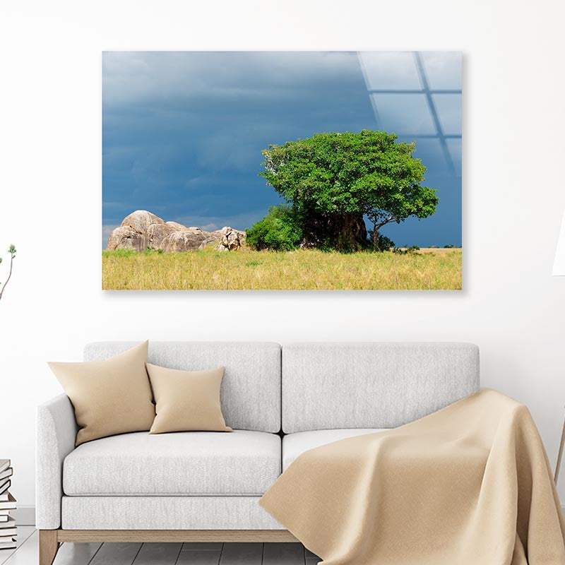 Serengeti National Park Scenery Tanzania Africa Acrylic Glass Print Tempered Glass Wall Art 100% Made in Australia Ready to Hang