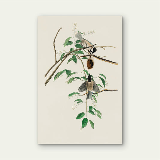 Chickadee Birds Branch Nest 60x90cm Metal Print Ready to Hang
