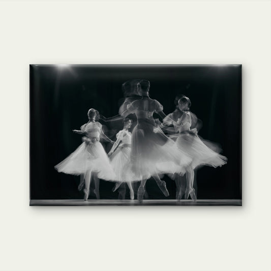 Motion Blur Ballet Dancers Wall Art Decor 100% Australian Made - Bella Home Decor