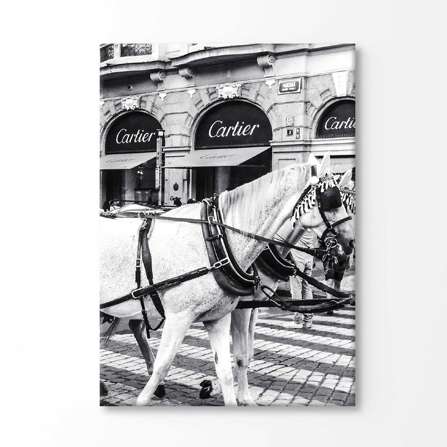 Bella Home Black And White Horse with Fashion Store Print Canvas Ready to hang
