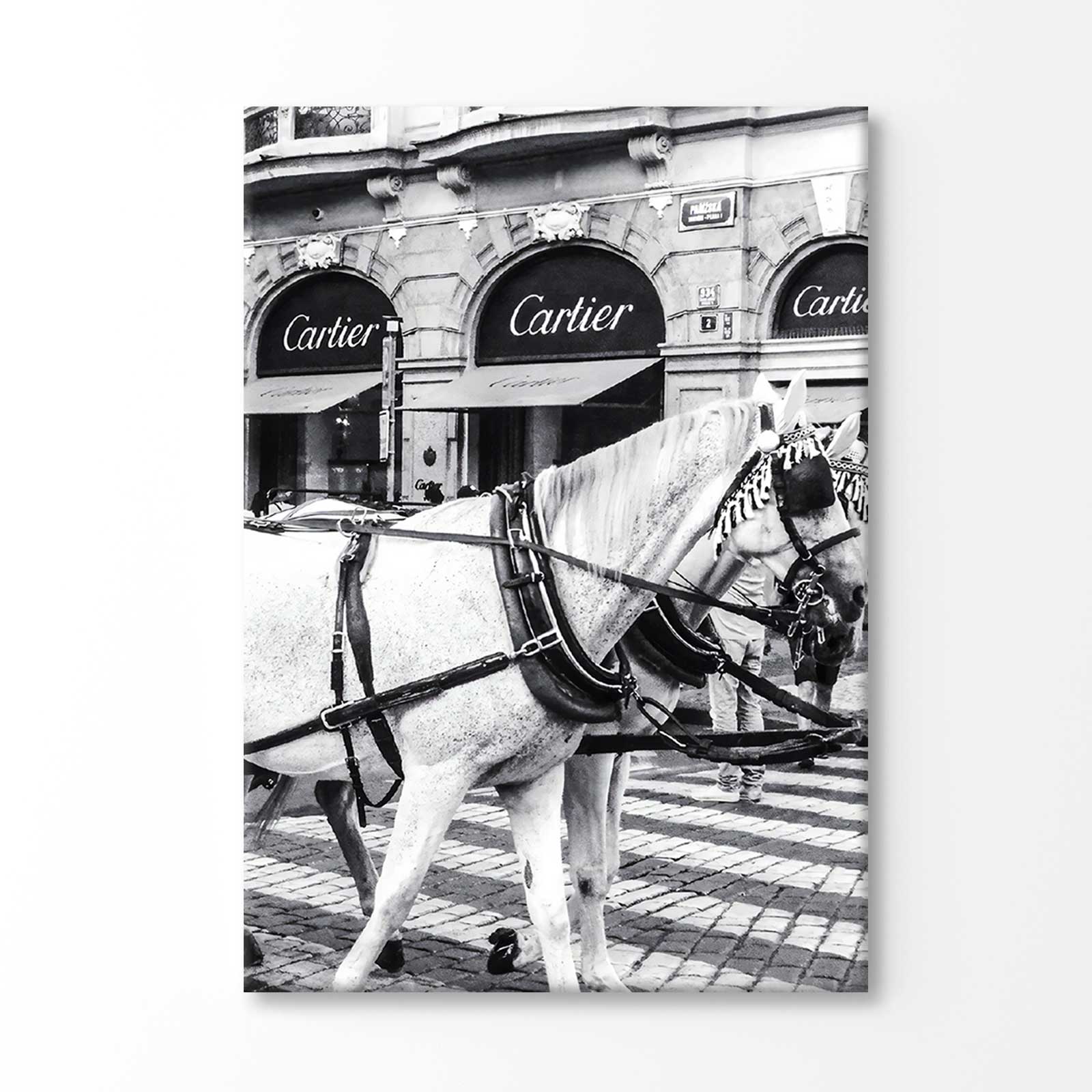 Bella Home Black And White Horse with Fashion Store Print Canvas Ready to hang