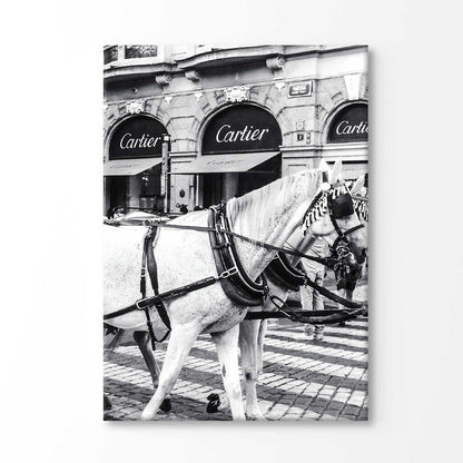 Bella Home Black And White Horse with Fashion Store Print Canvas Ready to hang