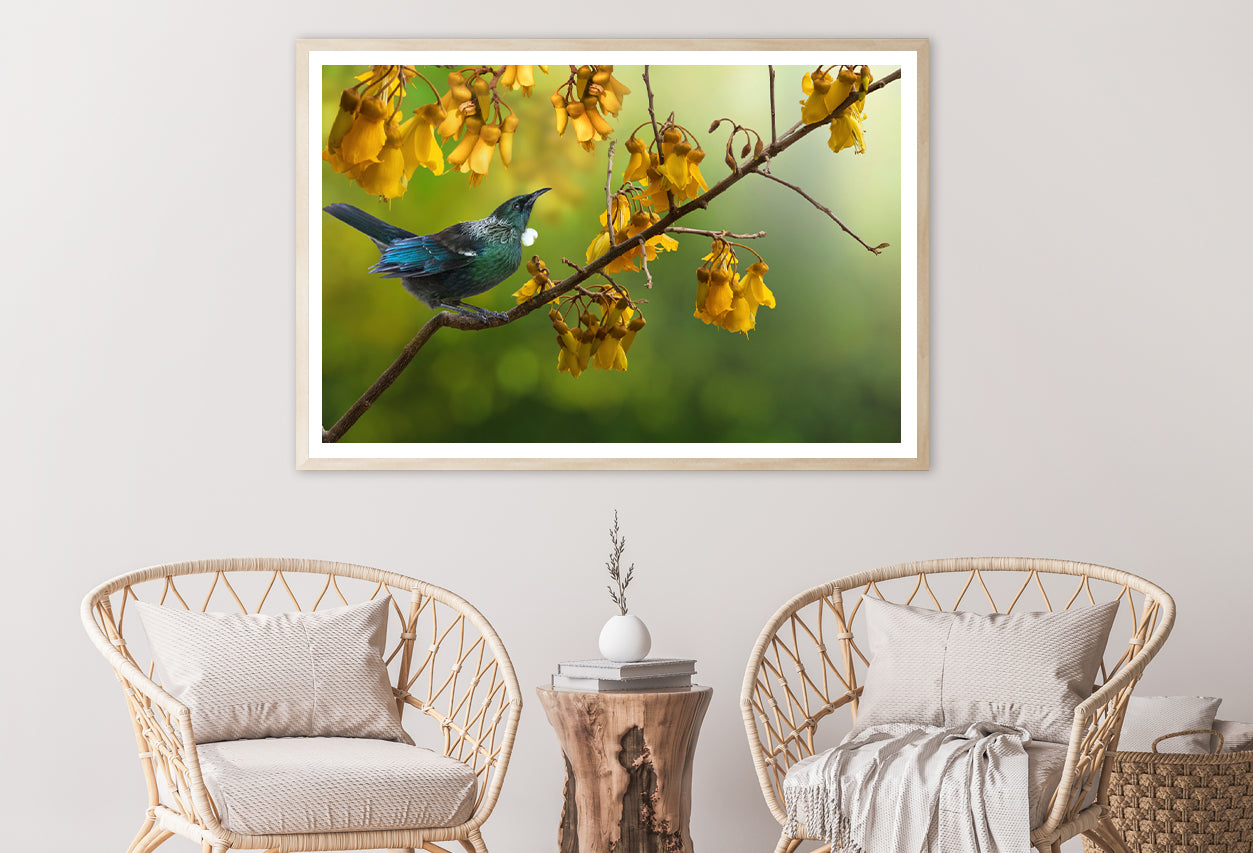 Tui Bird with Kowhai Tree Branch Home Decor Premium Quality Poster Print Choose Your Sizes