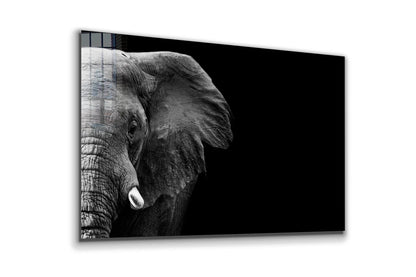 Half Face Elephant B&W UV Direct Aluminum Print Australian Made Quality