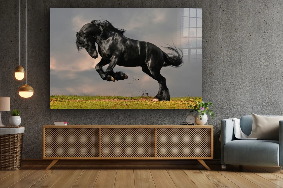 Black Horse Running UV Direct Aluminum Print Australian Made Quality