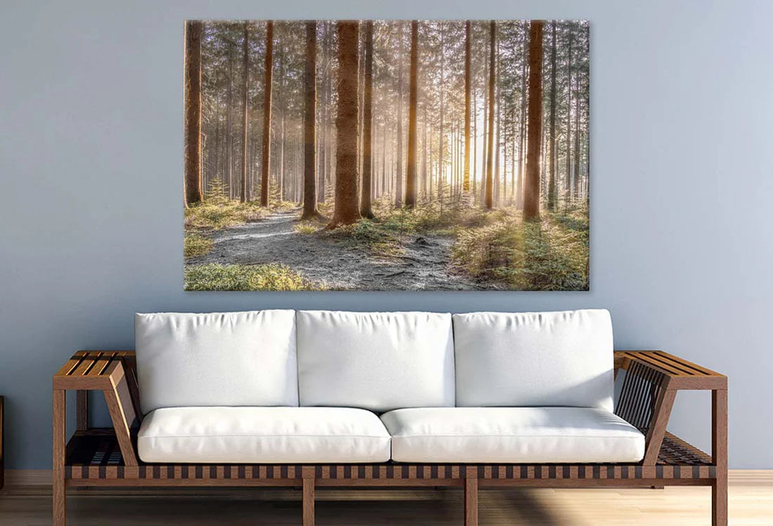 Forest with Shining Sun Rays 90x60cm Print 100% Australian Made