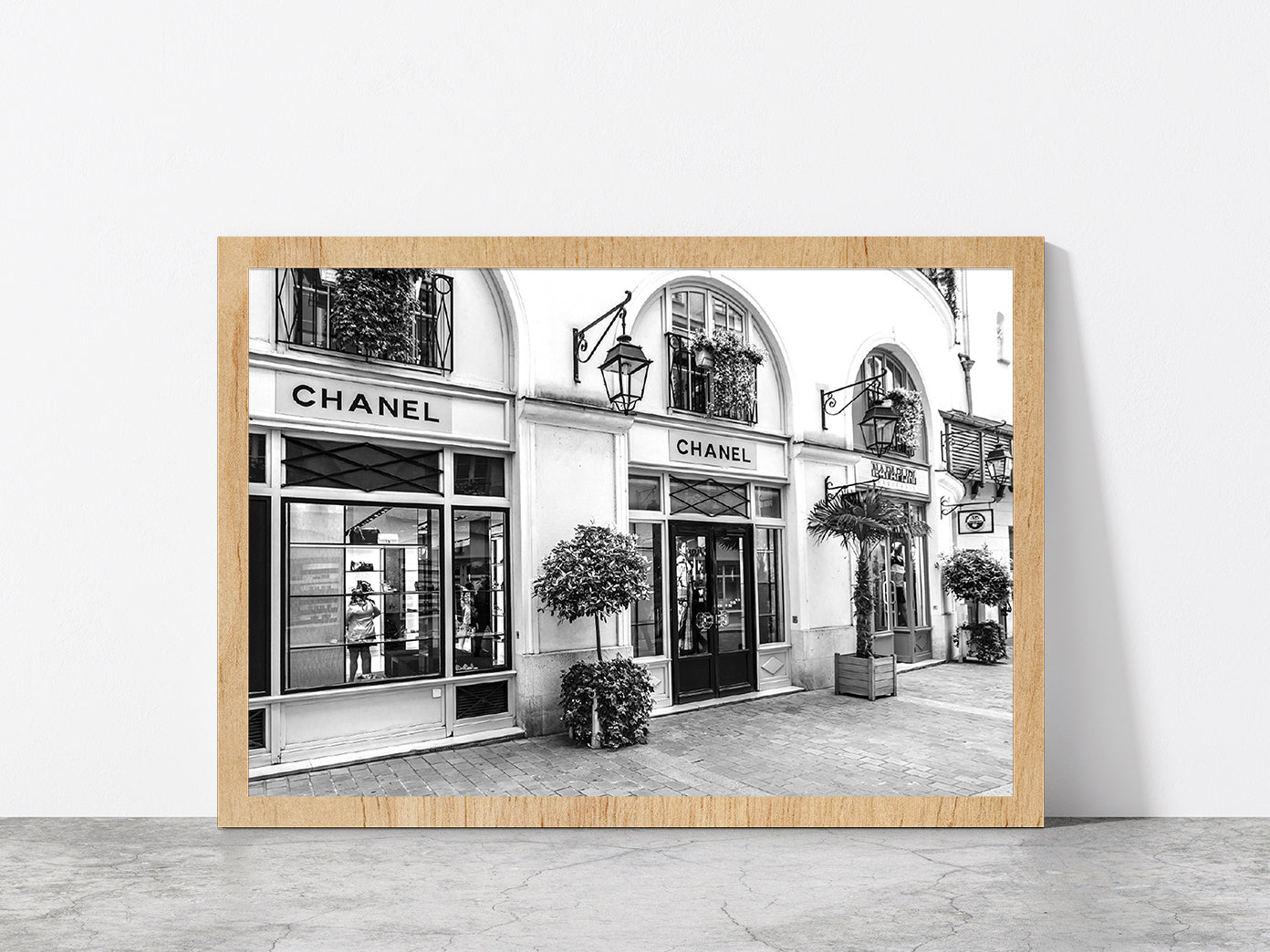 B&W Fashion Store Tree Plants in Madeleine Glass Framed Wall Art, Ready to Hang Quality Print Without White Border Oak