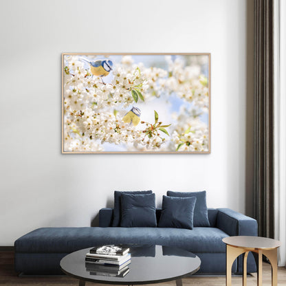 Pastel Toned Blue Tit Birds in Blossom Springtime Nature Wall Art Decor 100% Australian Made