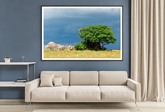 Serengeti National Park Scenery Tanzania Africa Home Decor Premium Quality Poster Print Choose Your Sizes