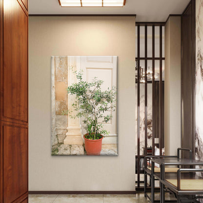 Potted Tree and Classic Architectural Pillars in Italy Wall Art Decor 100% Australian Made - Bella Home Decor