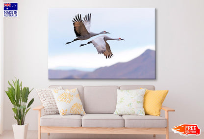 Flying Cranes Mountain Sky View Wall Art Decor 100% Australian Made