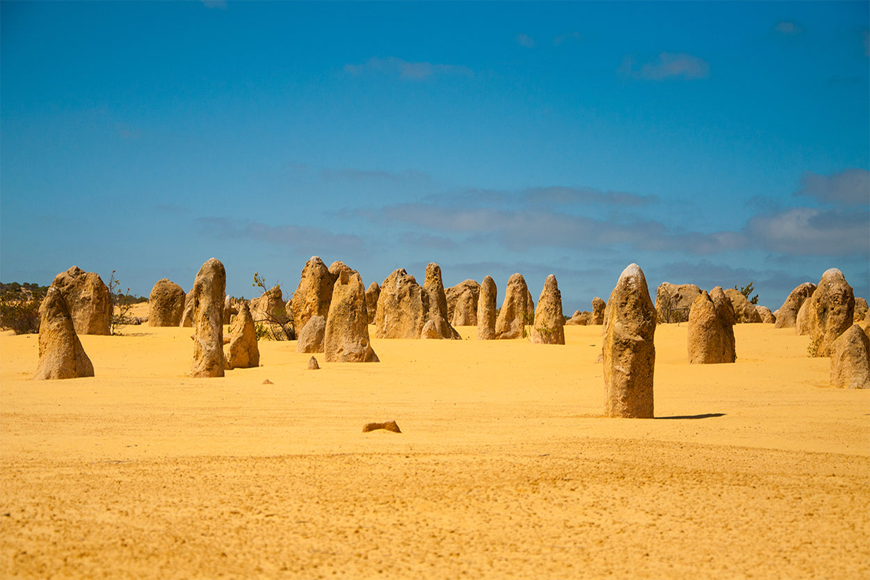 The Pinnacles Desert Western Australia Scenic Wall Art Decor 100% Australian Made