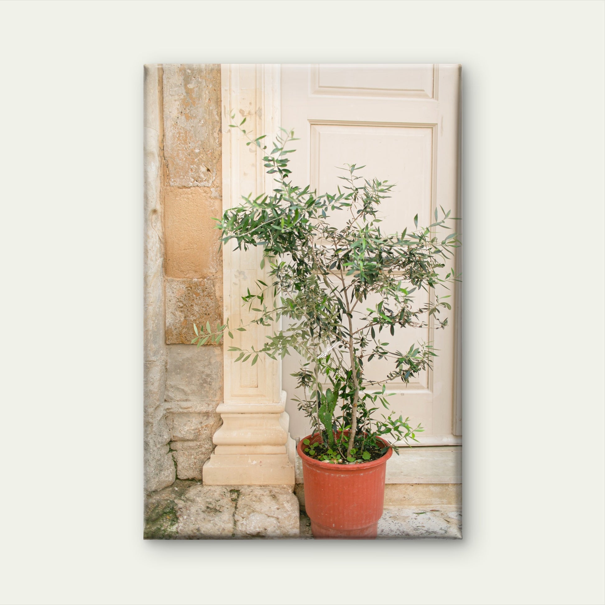 Potted Tree and Classic Architectural Pillars in Italy Wall Art Decor 100% Australian Made - Bella Home Decor