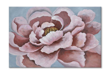 Flowers, Pink, Elegant, Fresh, Peony Wall Art Limited Edition High Quality Print