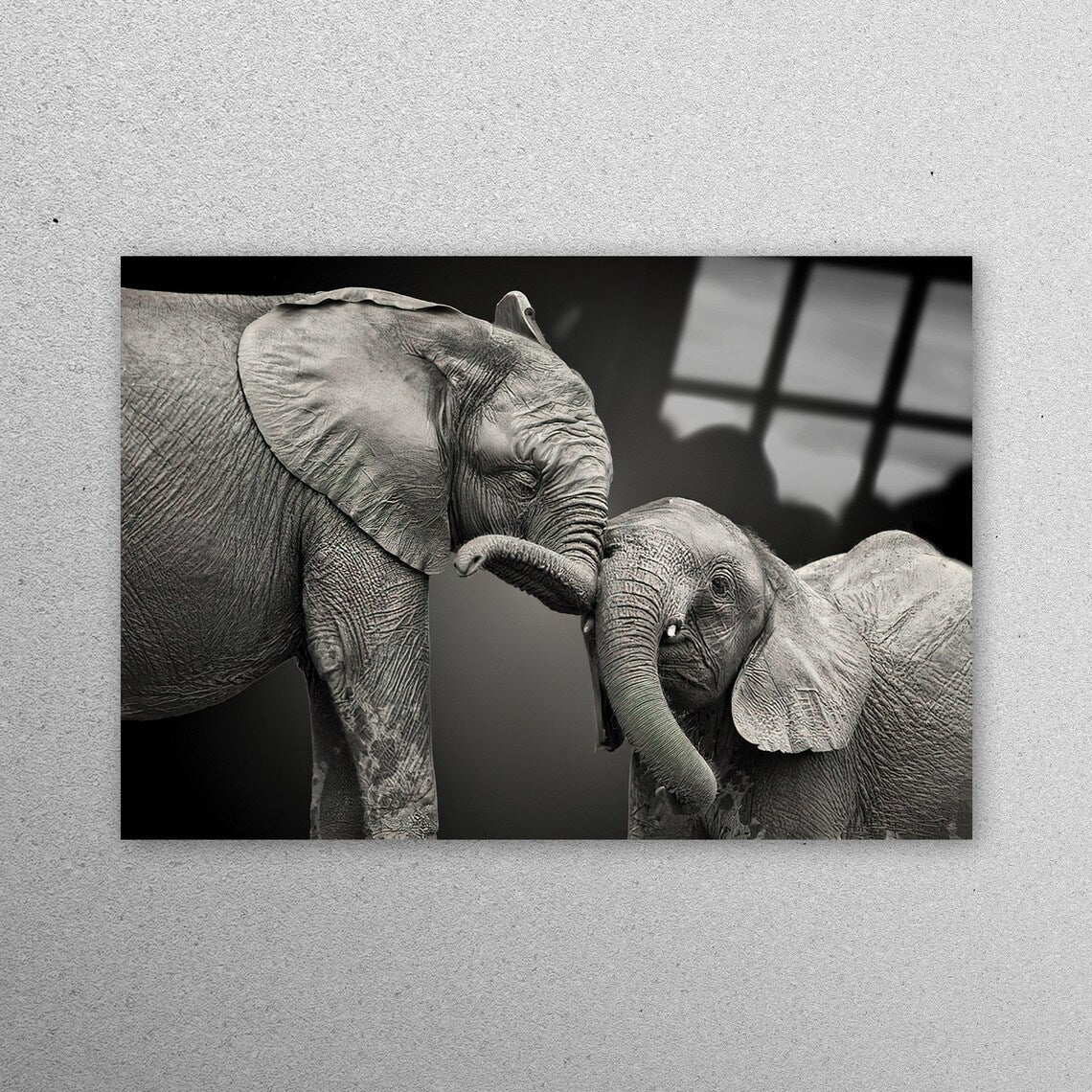 Lovely Elephant Wall Art Acrylic Glass Print Tempered Glass Wall Art 100% Made in Australia Ready to Hang